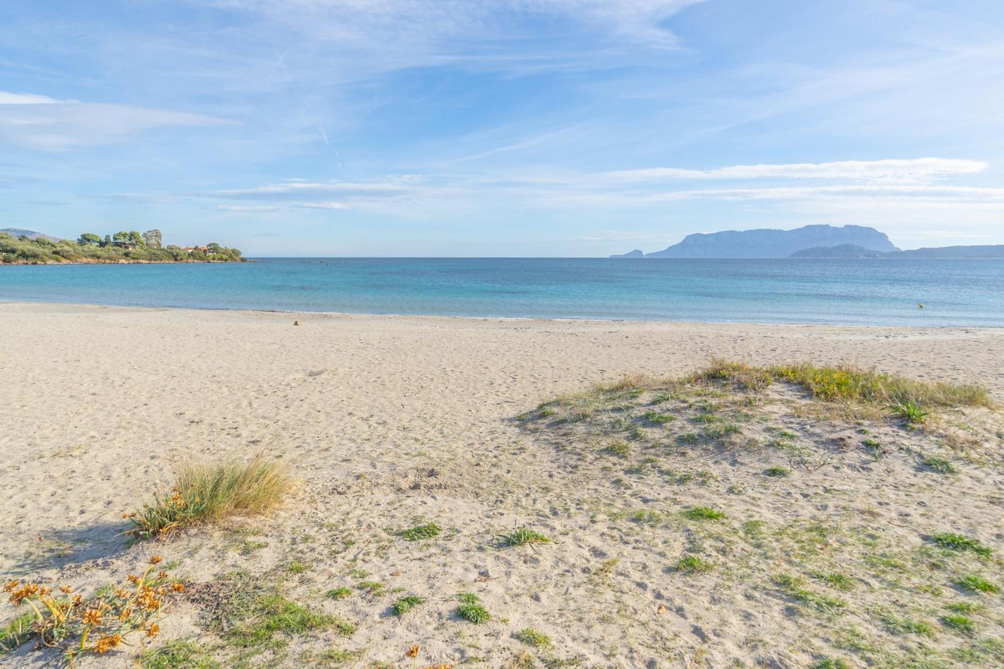 Apartament Brorent Casa Di Nettuno Olbia Zewnętrze zdjęcie
